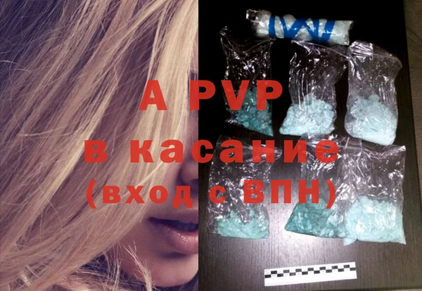 спиды Верея