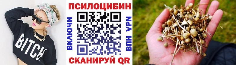 Купить где  Углегорск  Псилоцибиновые грибы мухоморы 